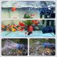 Leistungsstarke Abfallbeseitigung Leise Aquariumpumpe mit Saugnapf