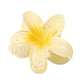 🌷Mother's Day Hot Sale 50% OFF🌸Blumen-Haarspange in Klammerform
